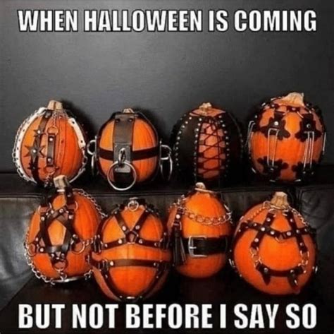 kinky halloween memes|31 Hilarious Halloween Memes To Make All The。